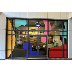 Window Graphic Murals